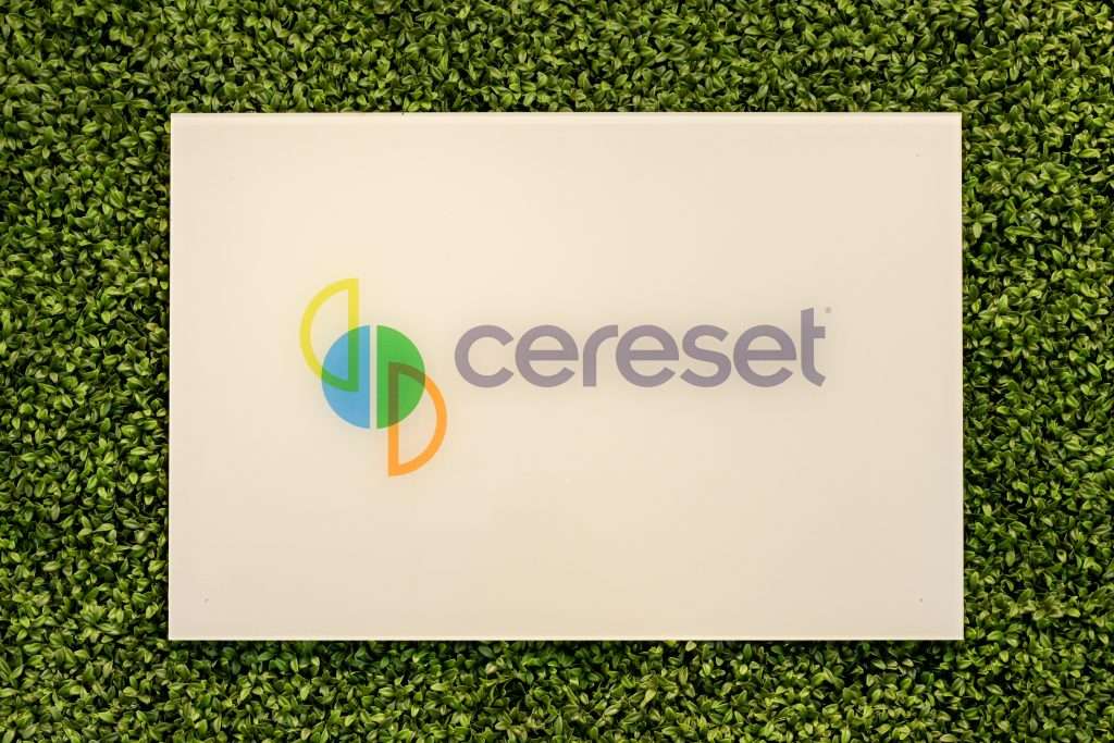 Cereset on enjoying Holidays